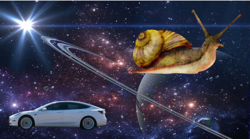  „Snails over Teslas” at the 9th International Degrowth Conference in Zagreb represented by  GreenDependen Institute